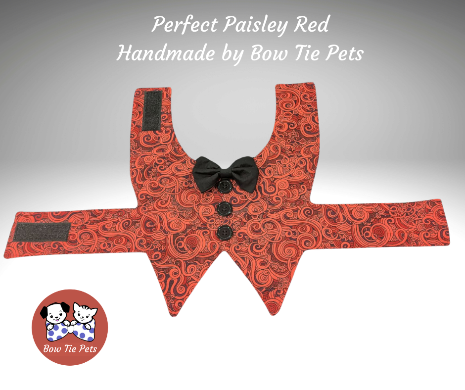 Perfect Paisley Red Waistcoat