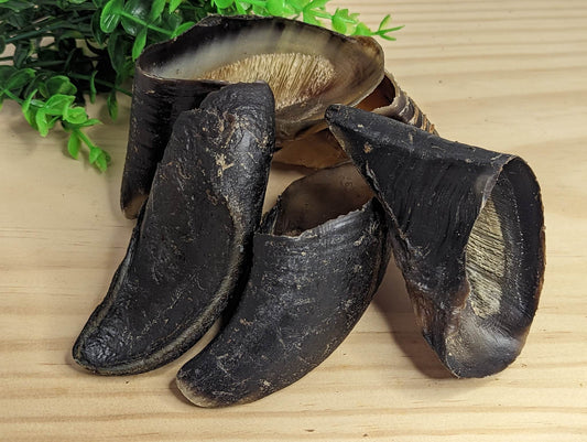 Beef Cow Hooves 5 Pack