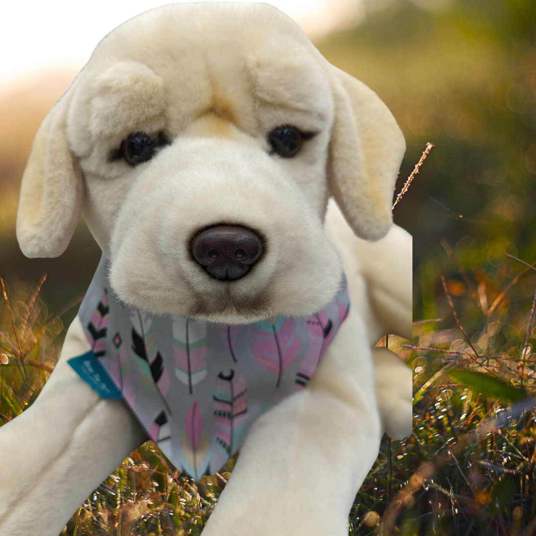 Pink Feathers On Collar Bandana