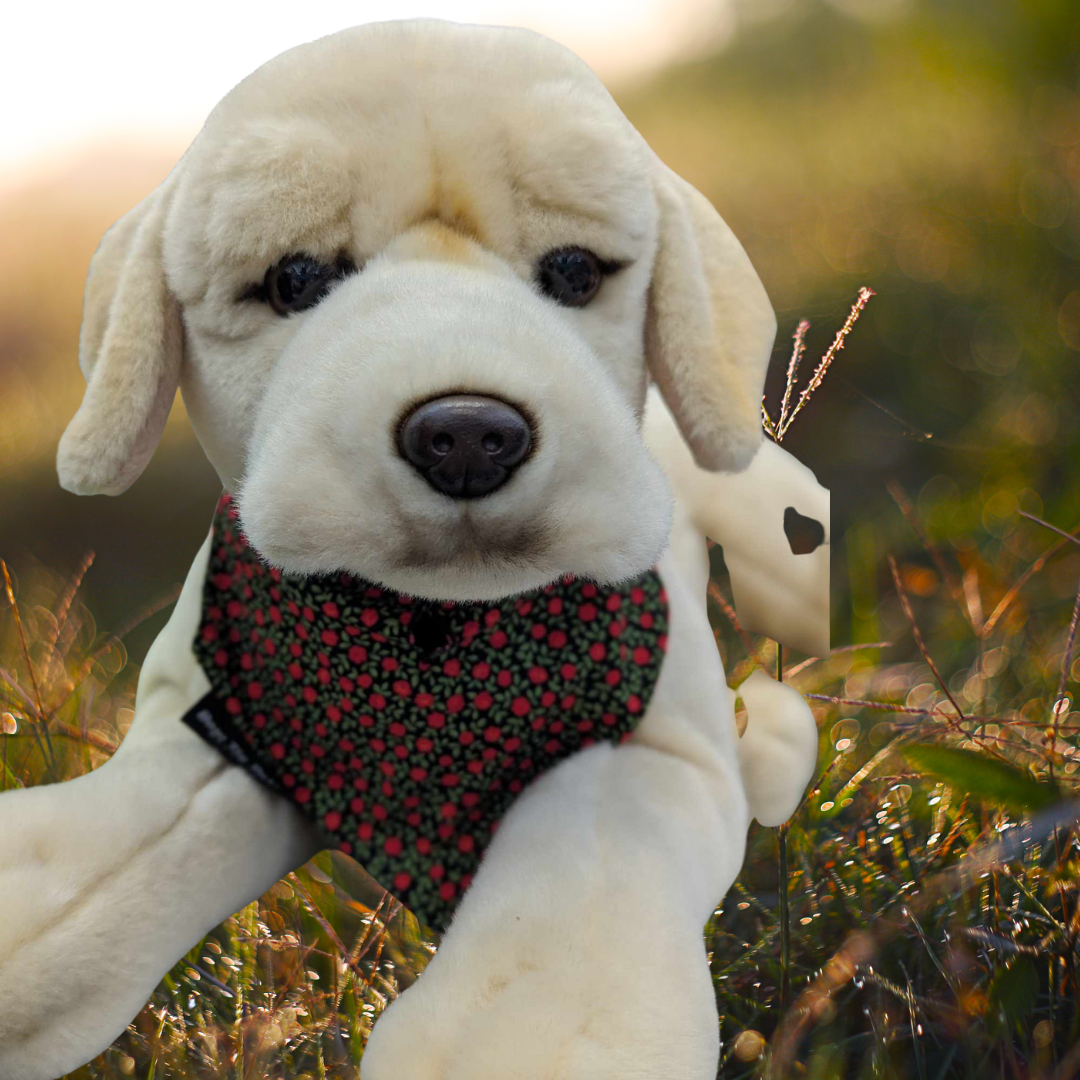 Little Poppies On Collar Bandana
