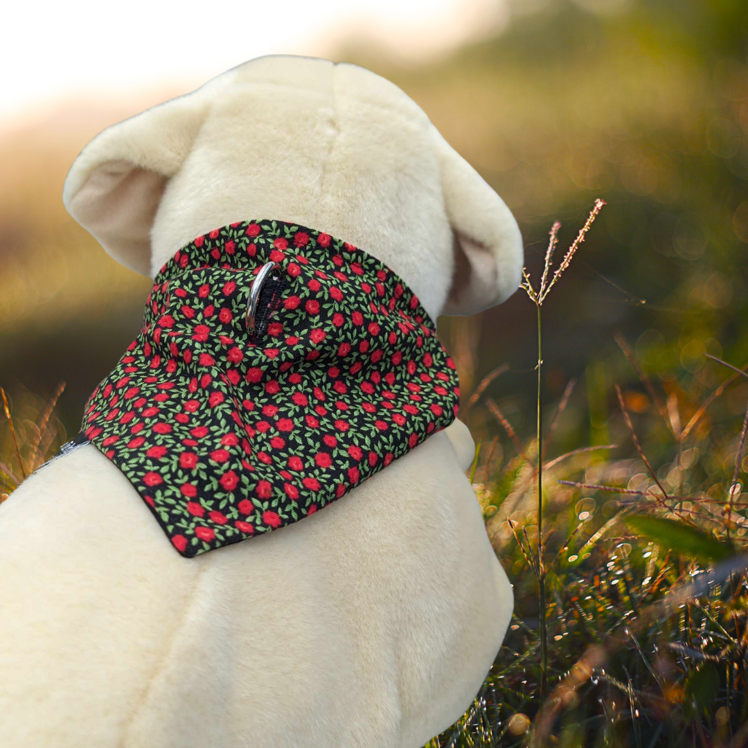 Little Poppies On Collar Bandana