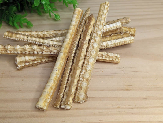 Shark Cartilage 100g Pk