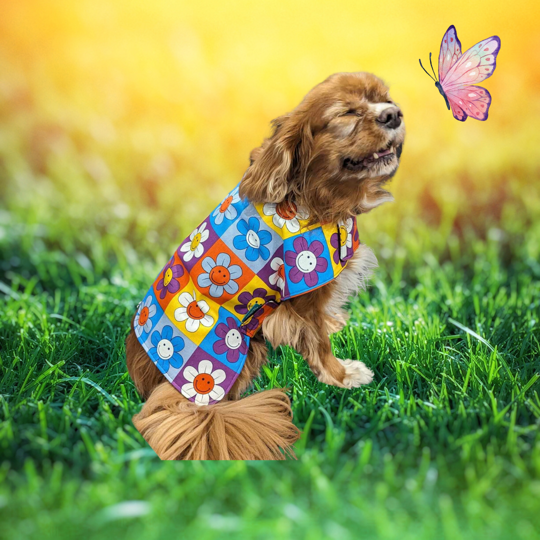 Smiling Daisies Dog Coat