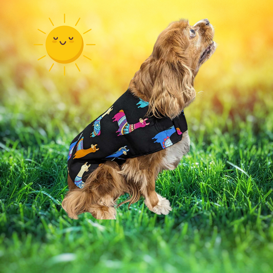 Llama Party Dog Coat