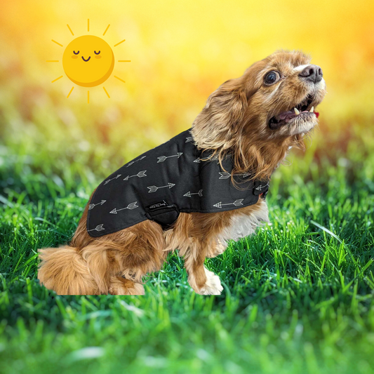 Black & White Arrow Dog Coat