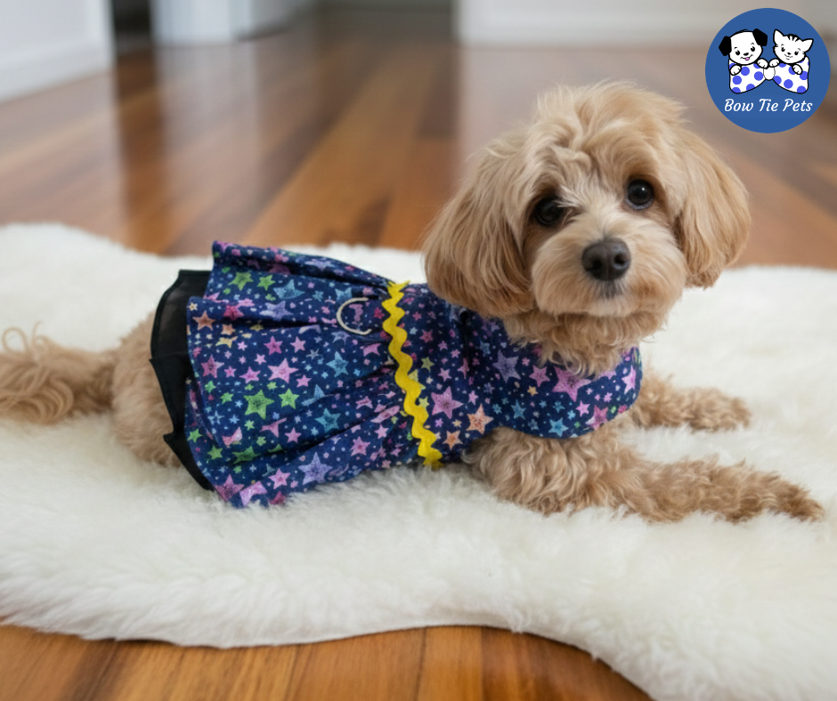 Midnight Stars Dress