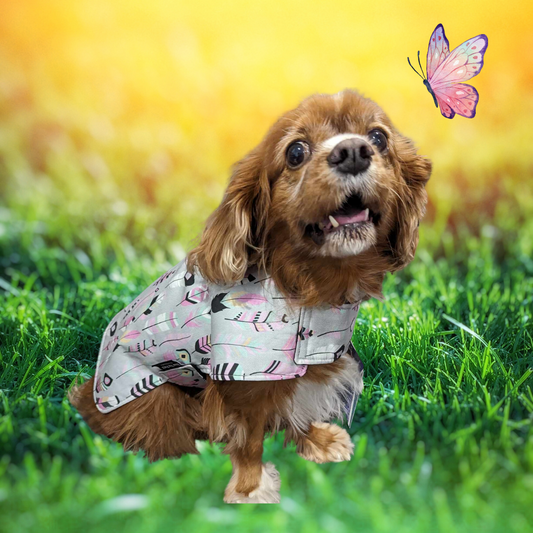 Grey with Pink Feathers Dog Coat
