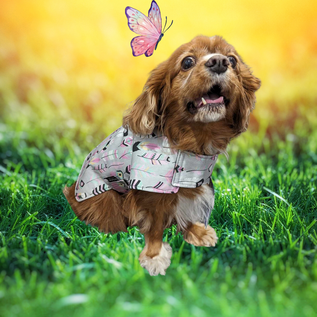 Grey with Pink Feathers Dog Coat