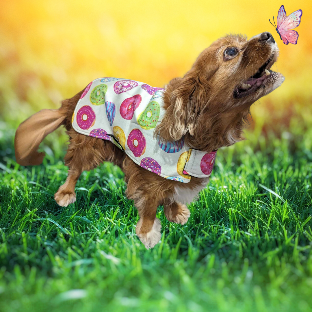 Donut Dog Coat