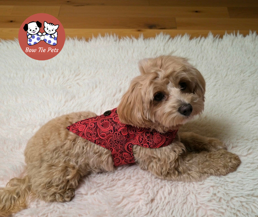 Perfect Paisley Red Waistcoat