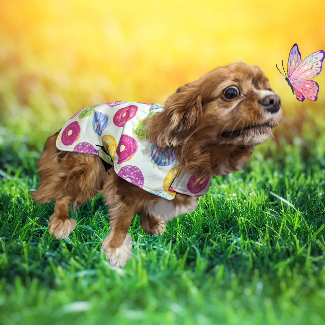 Donut Dog Coat