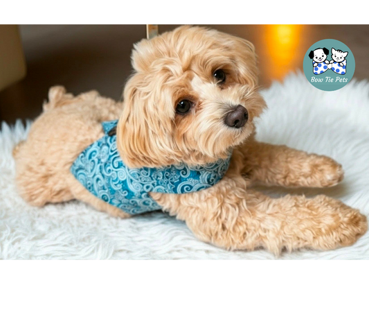 Perfect Paisley Teal Waistcoat