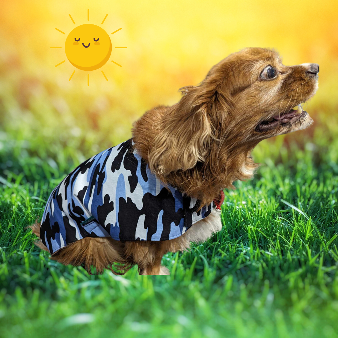 Blue Camo Dog Coat