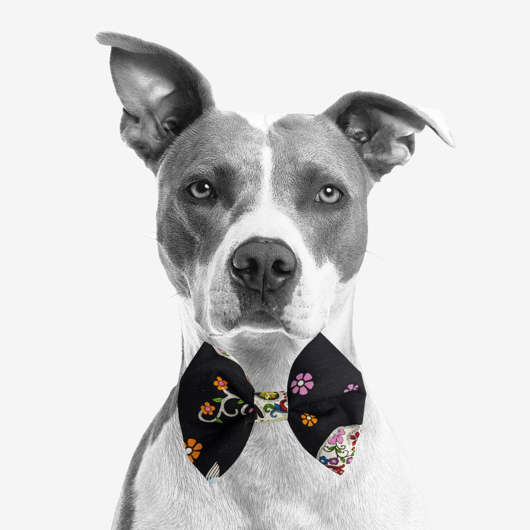 Bow Ties