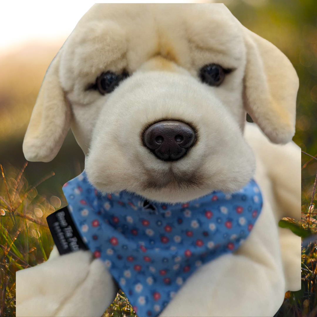 Light Blue Floral On Collar Bandana