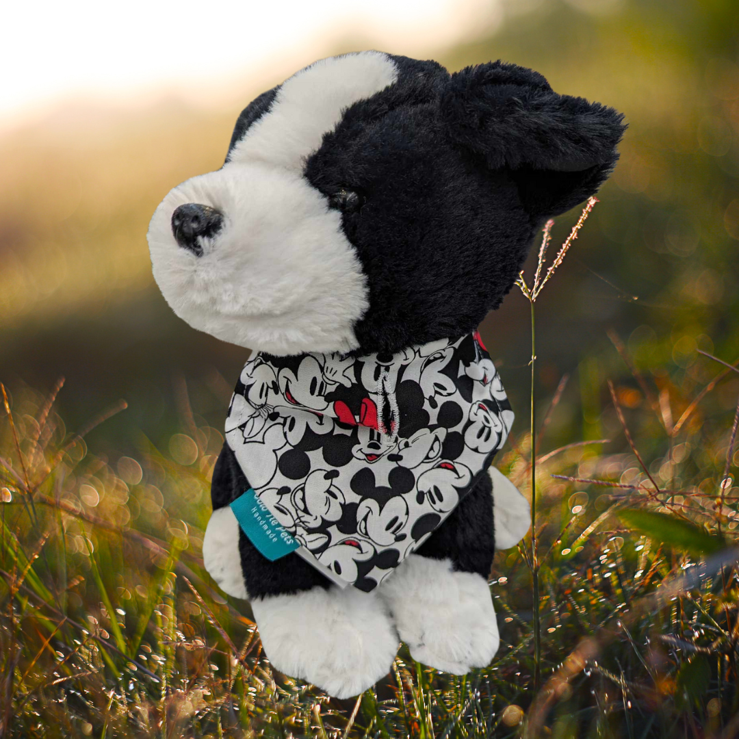 Mickey & Minnie On Collar Bandana