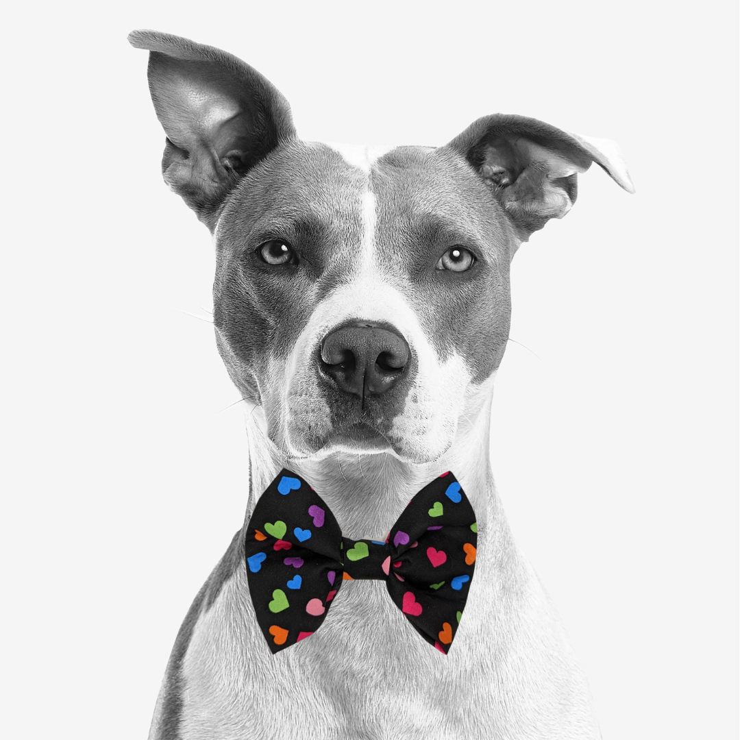 Bow Ties
