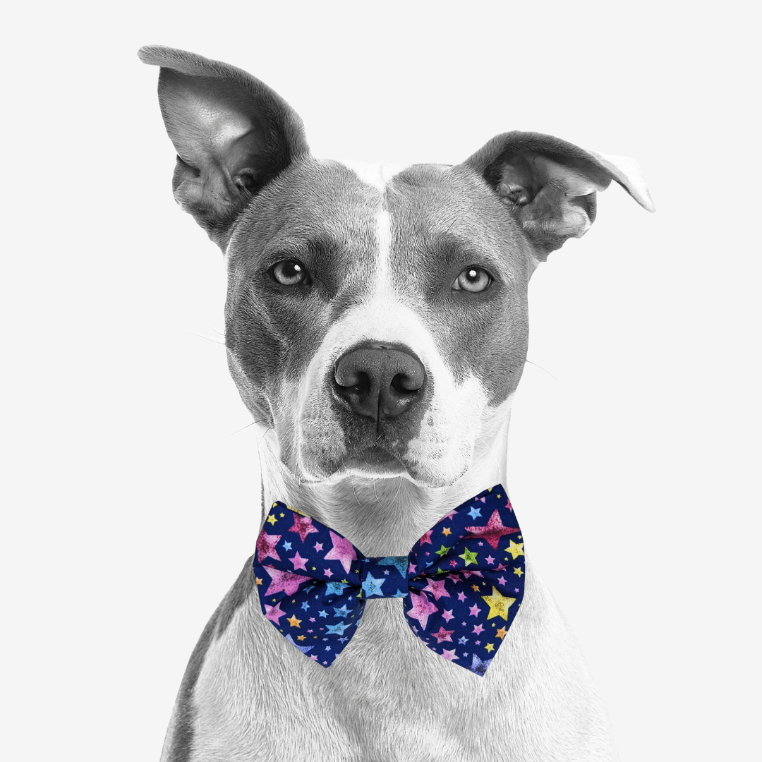 Bow Ties