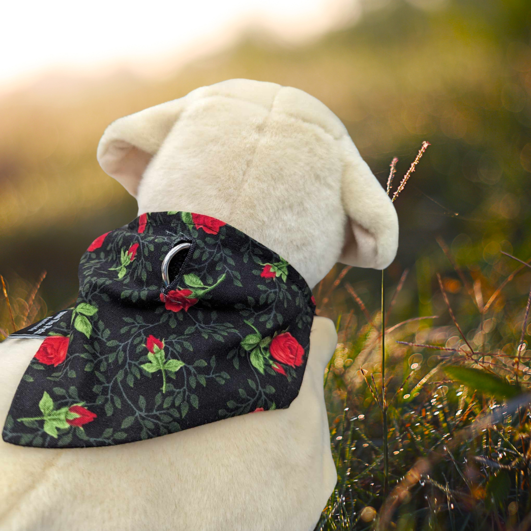 Long Stemmed Roses On Collar Bandana