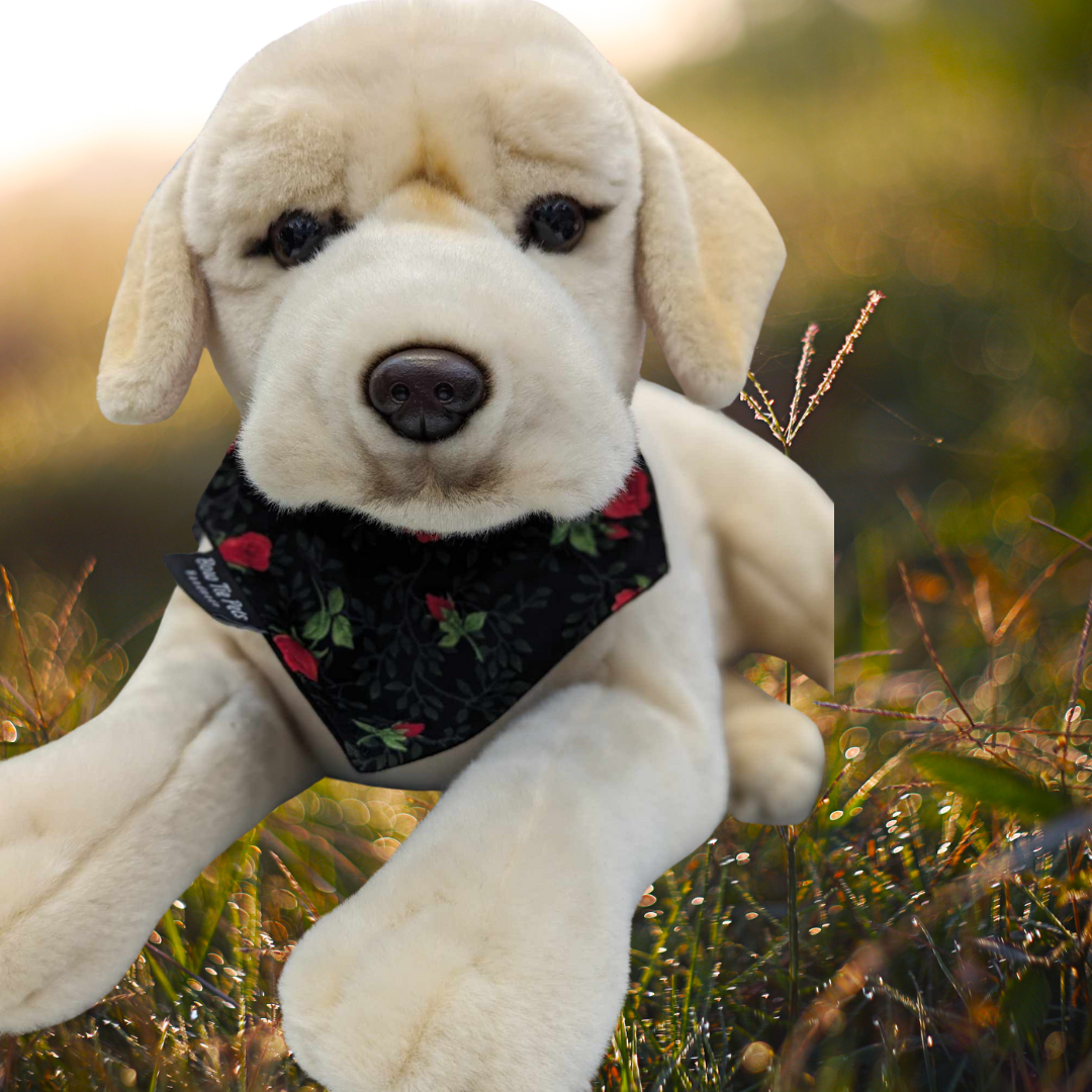 Long Stemmed Roses On Collar Bandana