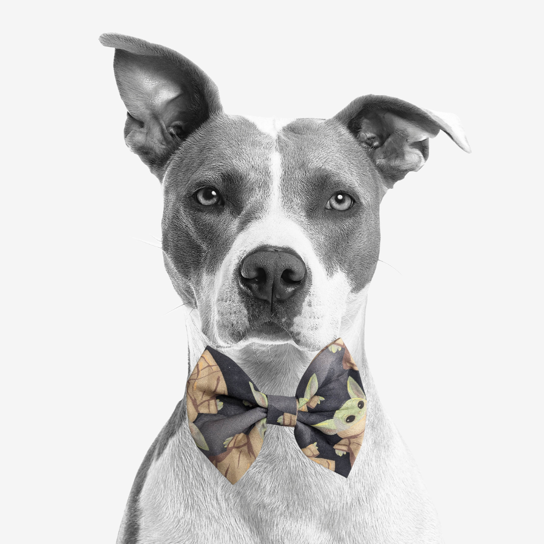 Bow Ties